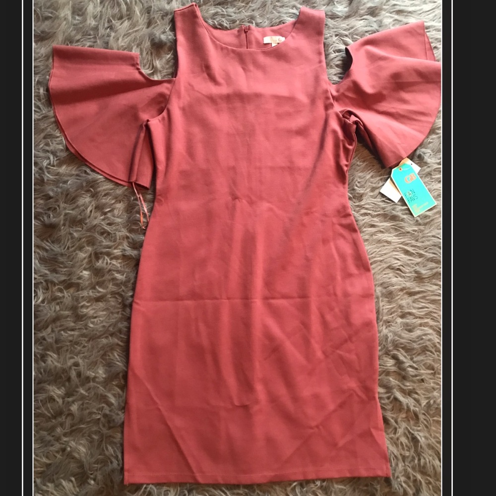 🚨 FINAL SALE!! Brand New Gianni Bini Dress!